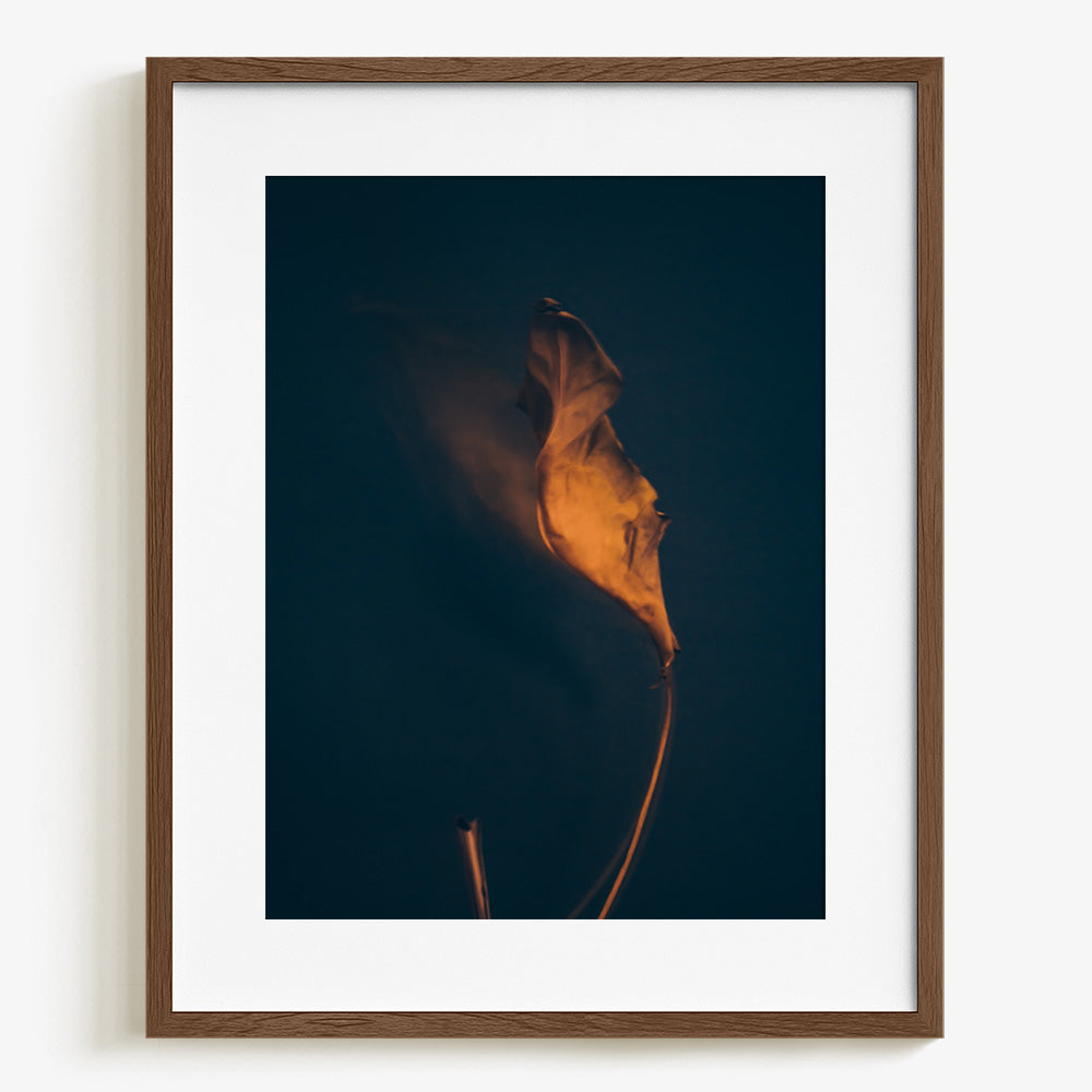 Photograph by Jan Prengel