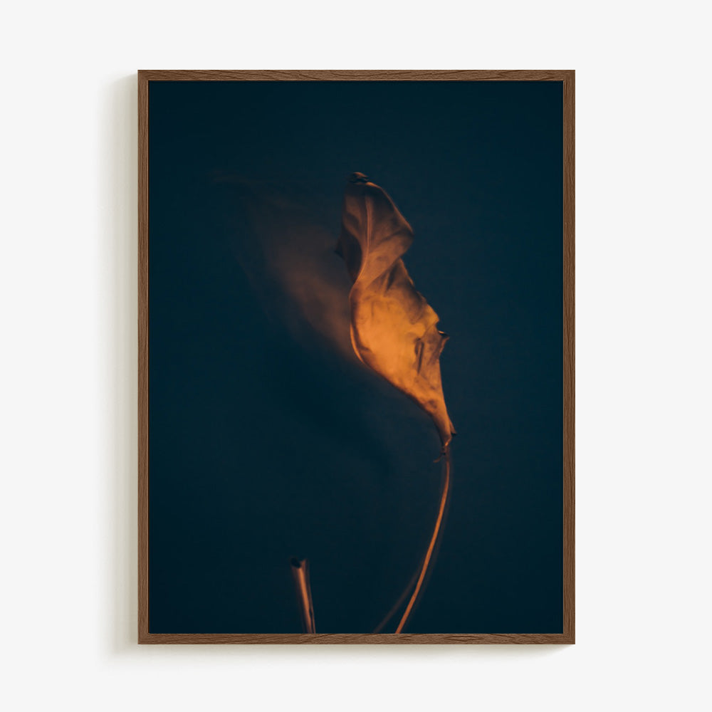 Photograph by Jan Prengel
