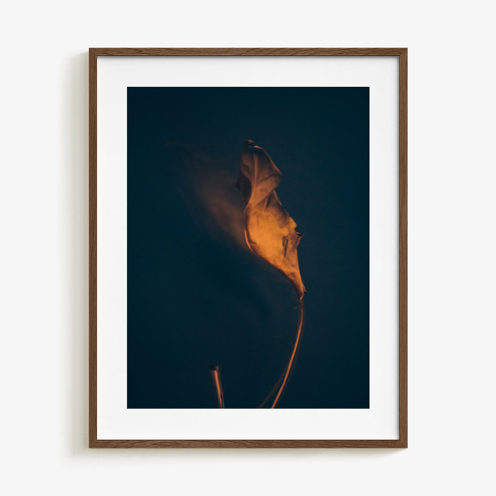 Photograph by Jan Prengel