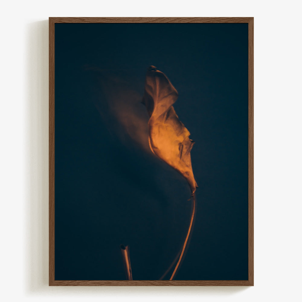 Photograph by Jan Prengel