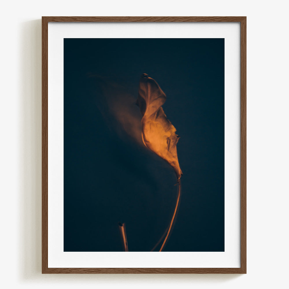 Photograph by Jan Prengel