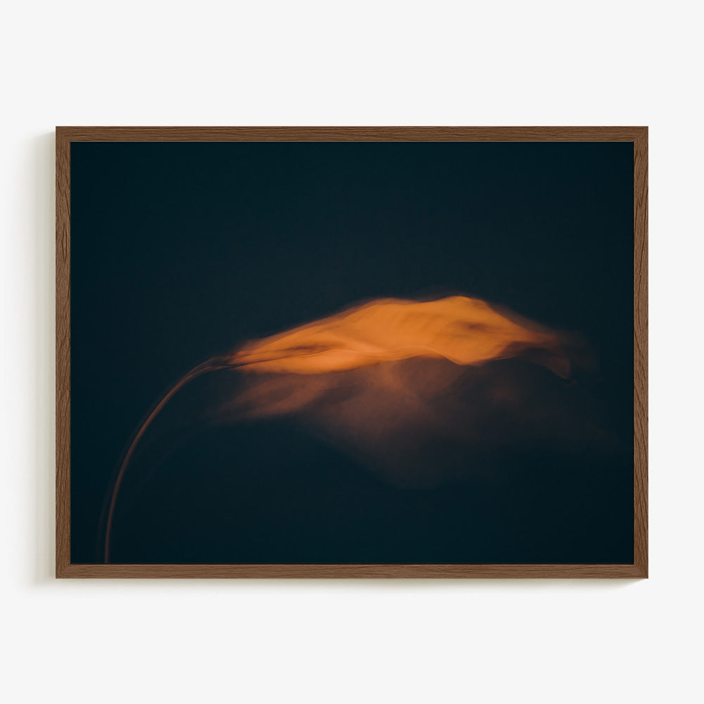 Photograph by Jan Prengel