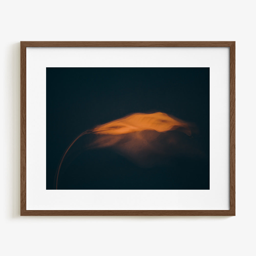 Photograph by Jan Prengel