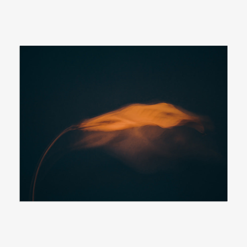 Photograph by Jan Prengel