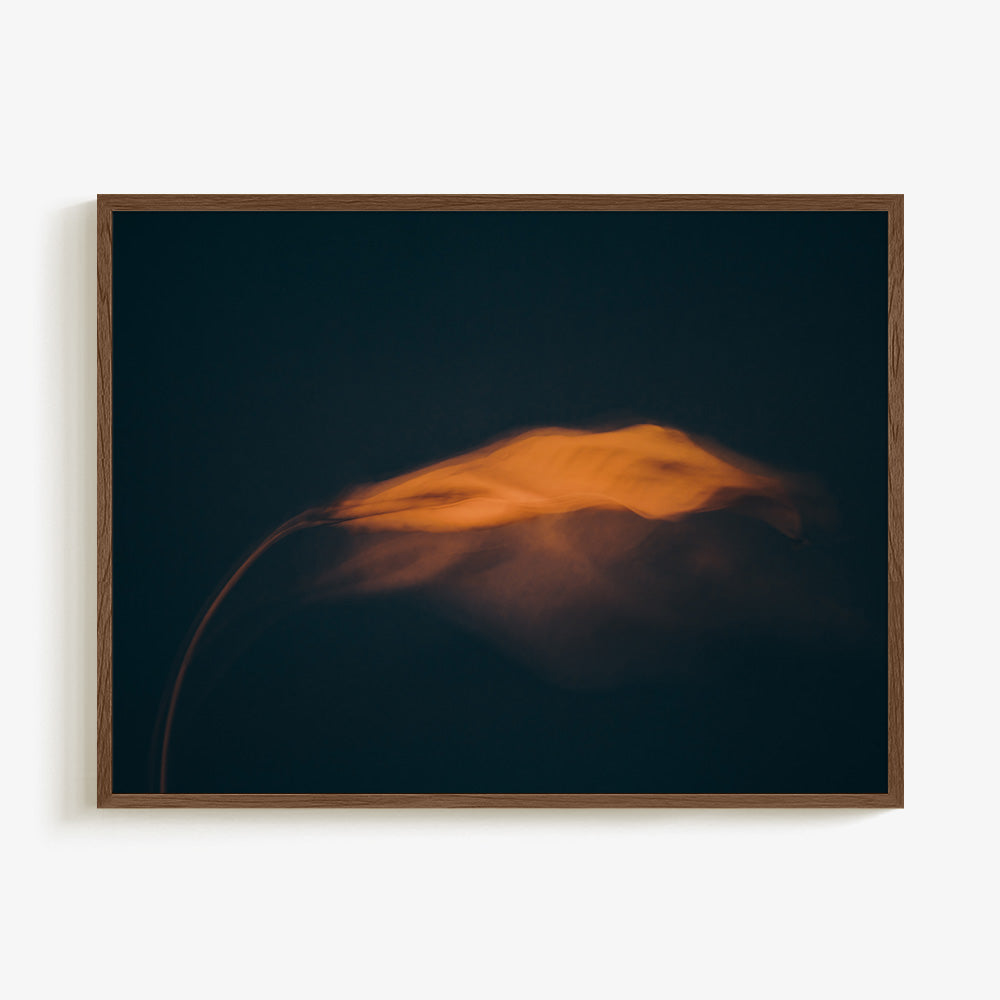 Photograph by Jan Prengel
