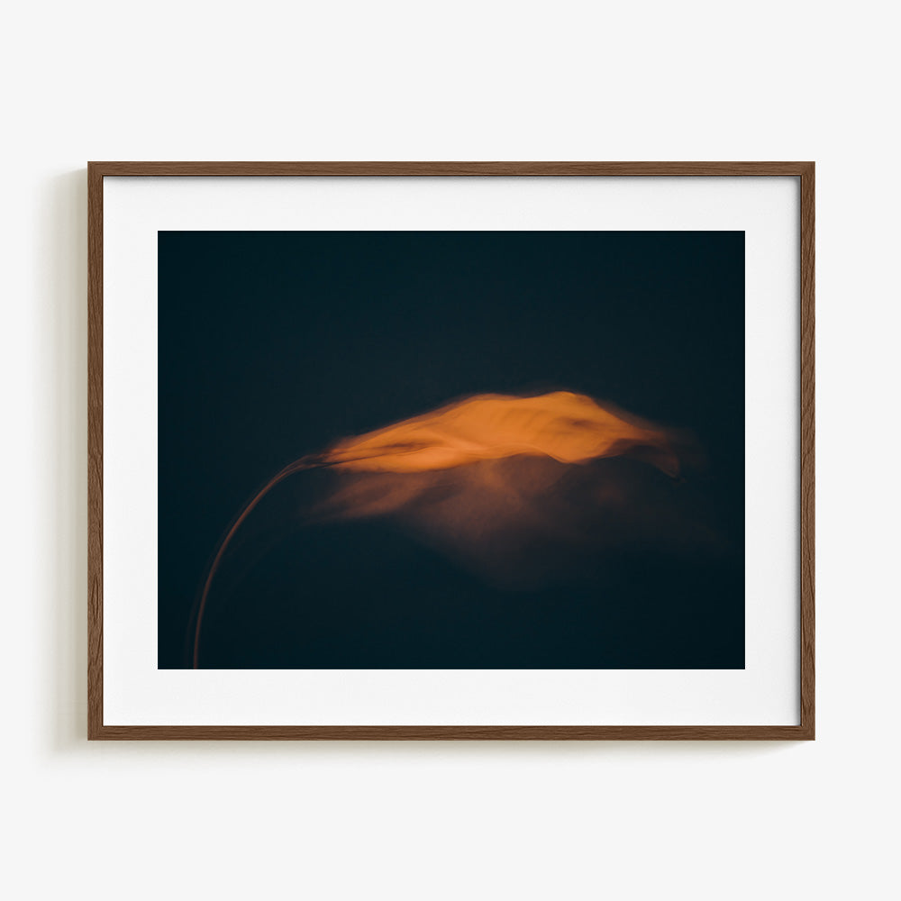 Photograph by Jan Prengel