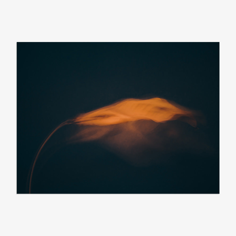 Photograph by Jan Prengel