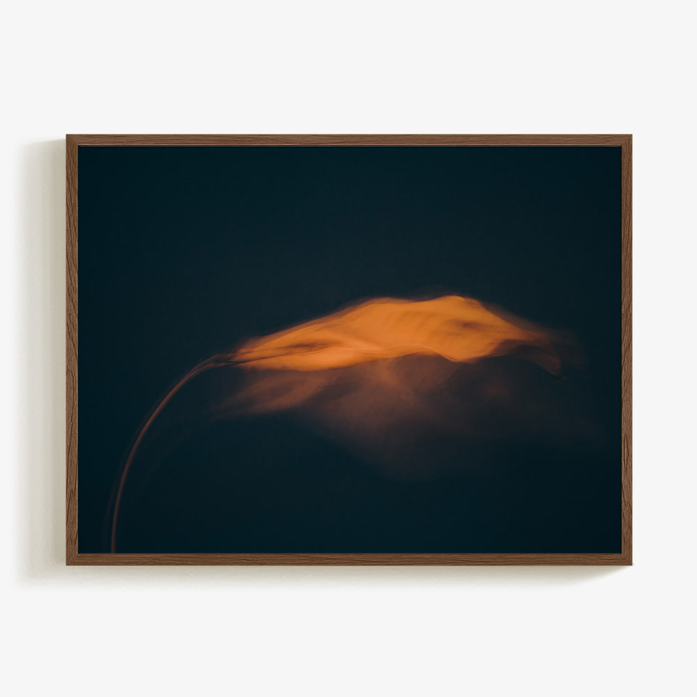Photograph by Jan Prengel