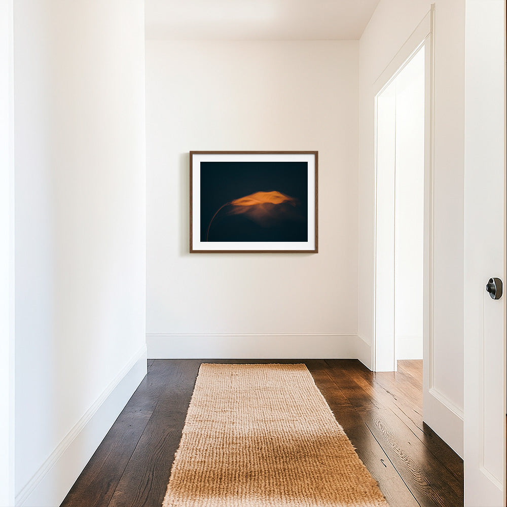Photograph by Jan Prengel