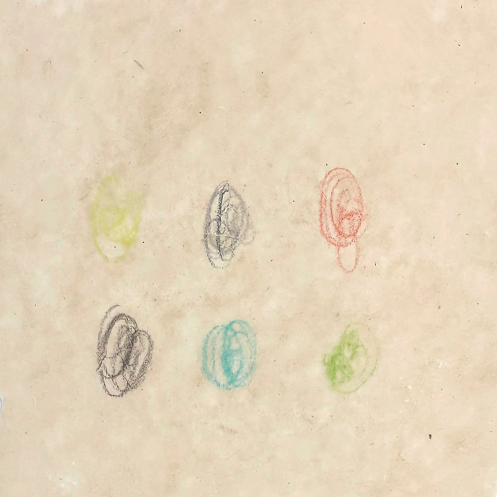 Work on Paper by Catherine Lucky Chang