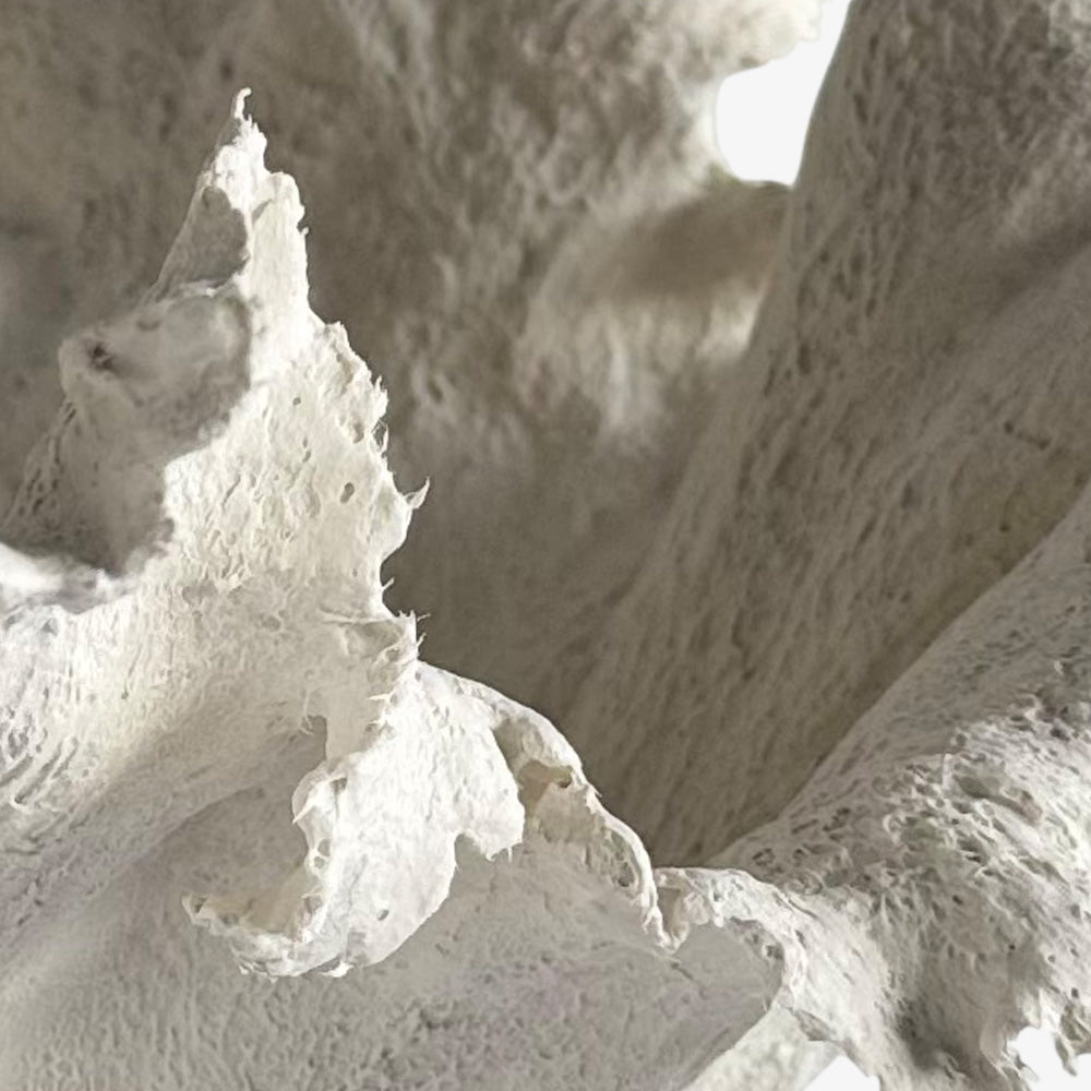 Sculpture by Stacy Solodkin