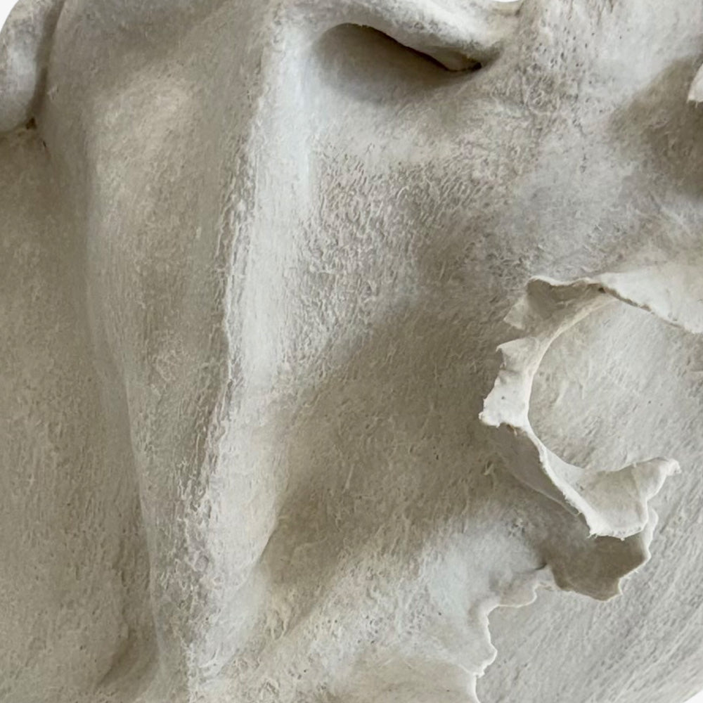 Sculpture by Stacy Solodkin
