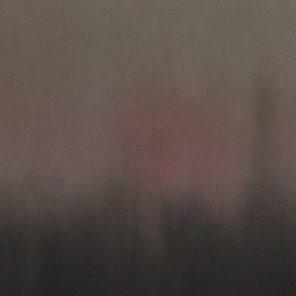 Painting by Ali Enache