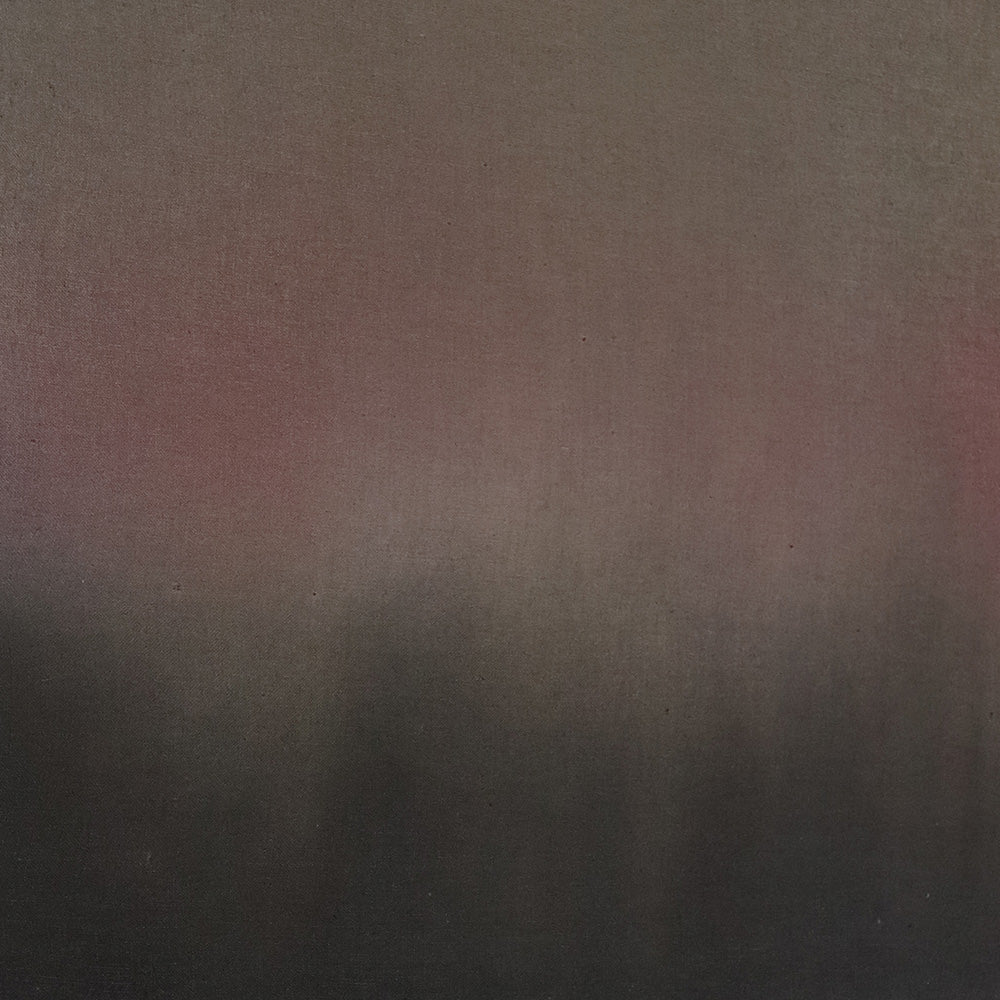 Painting by Ali Enache