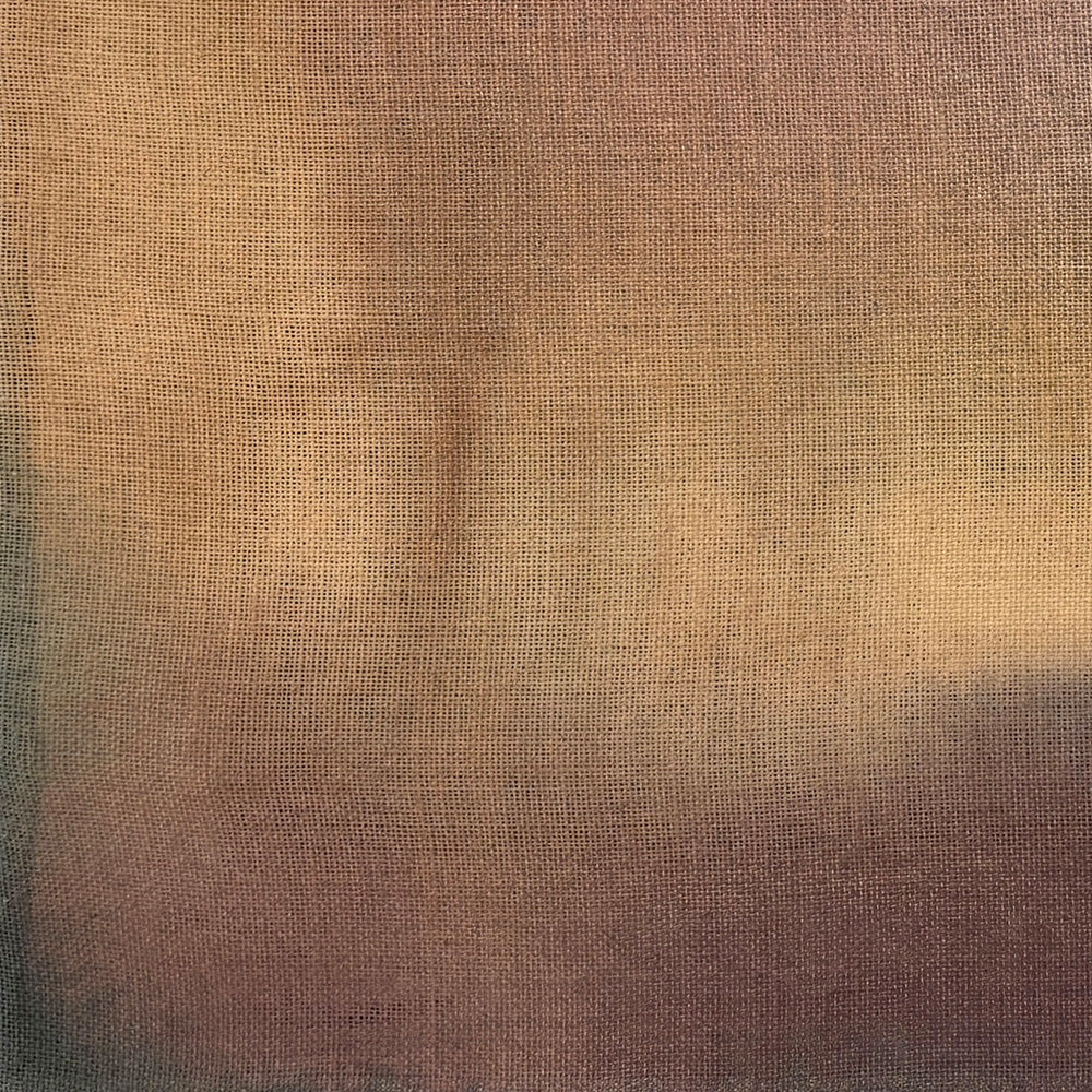 Painting by Ali Enache