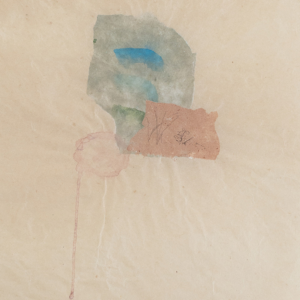 Work on Paper by Catherine Lucky Chang