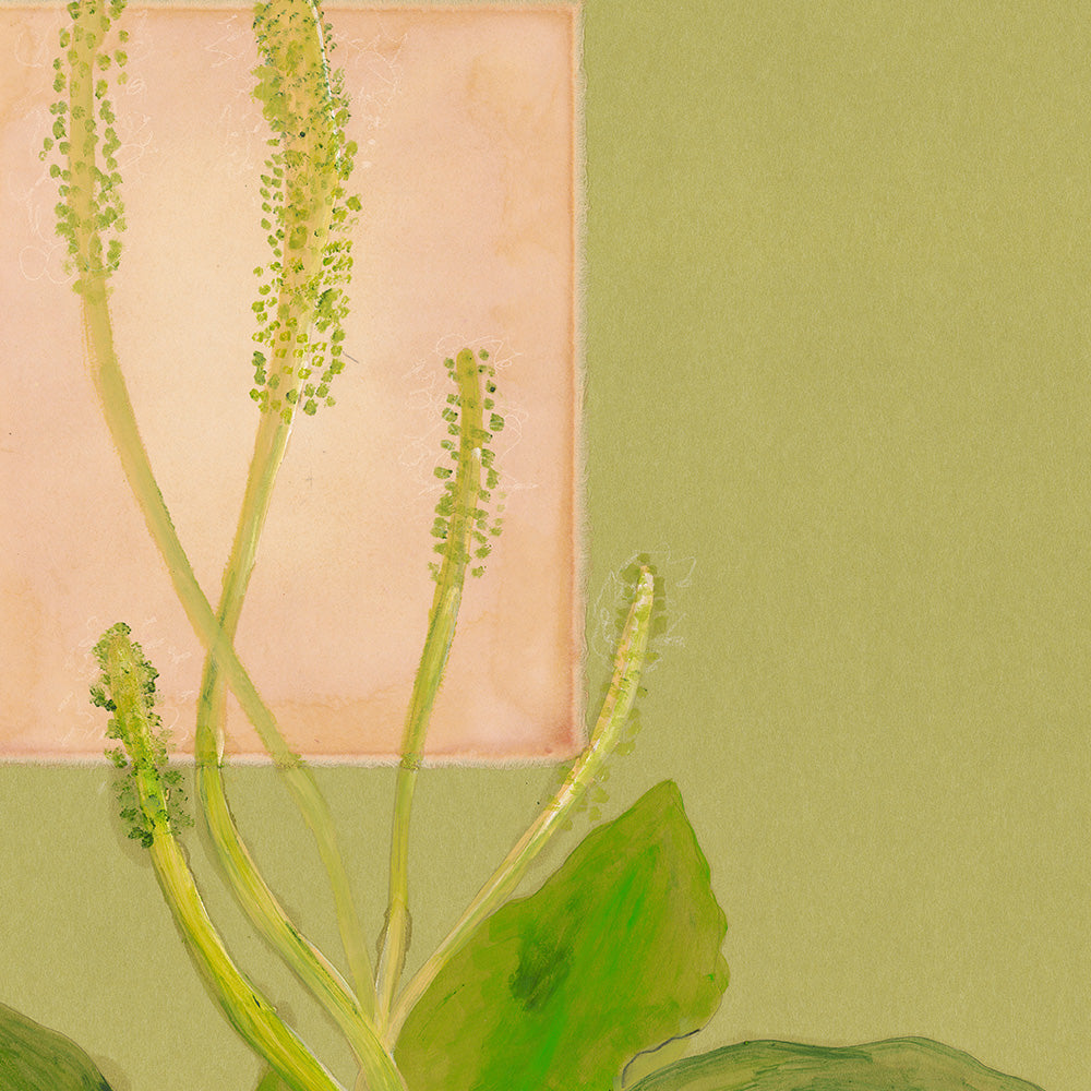 Painting by Johanna Tagada Hoffbeck