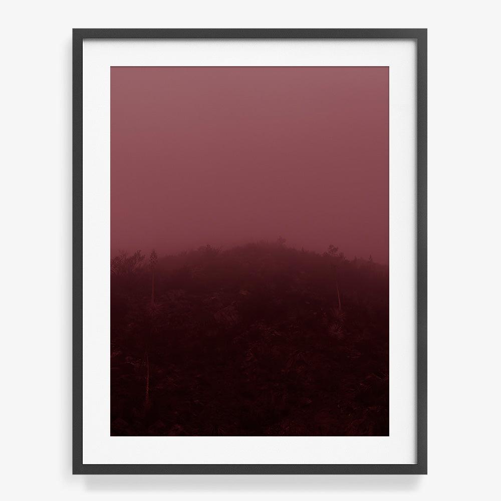 Out of the Mist