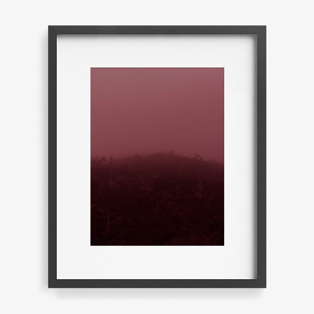 Out of the Mist