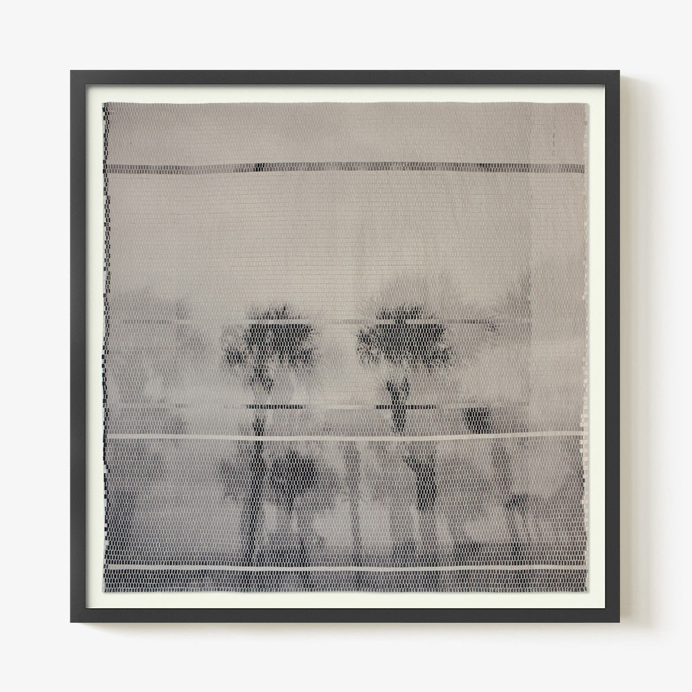Palm Trees