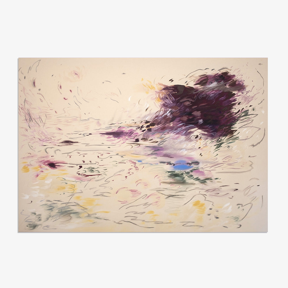 Palmaria palmata