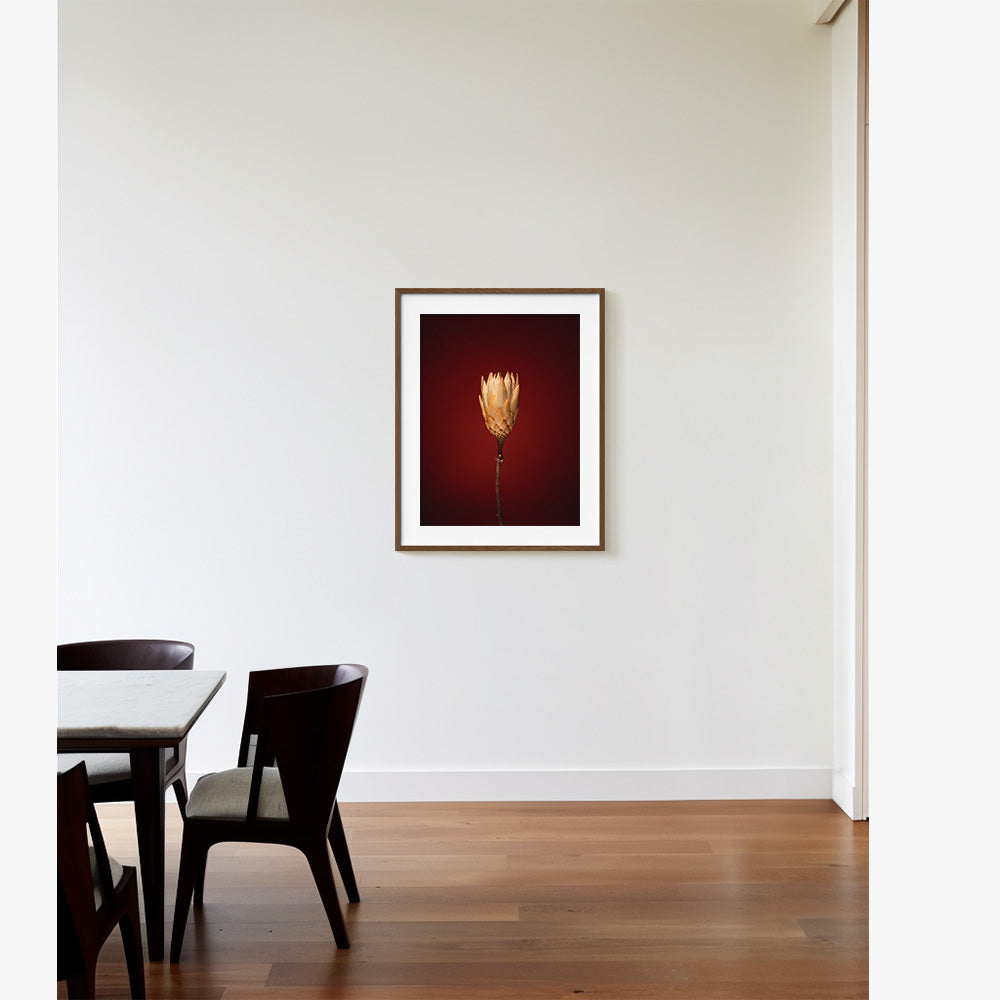 Plants from Space 03