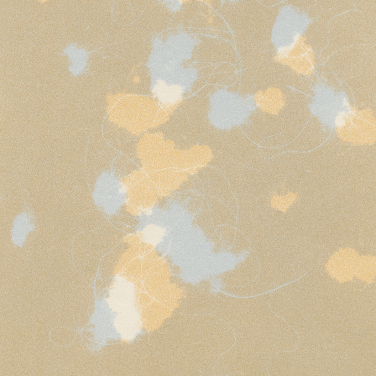 Study (Romantic Gestures) 11 , Print by Study (Romantic Gestures) 11 Tappan