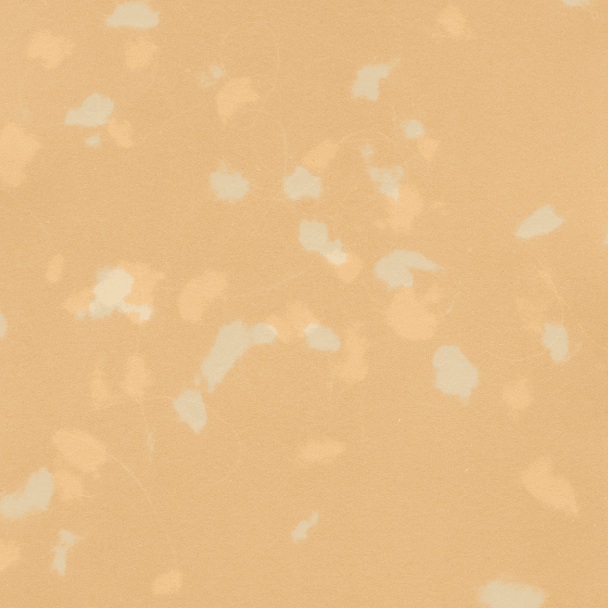 Study (Romantic Gestures) 14 , Print by Study (Romantic Gestures) 14 Tappan