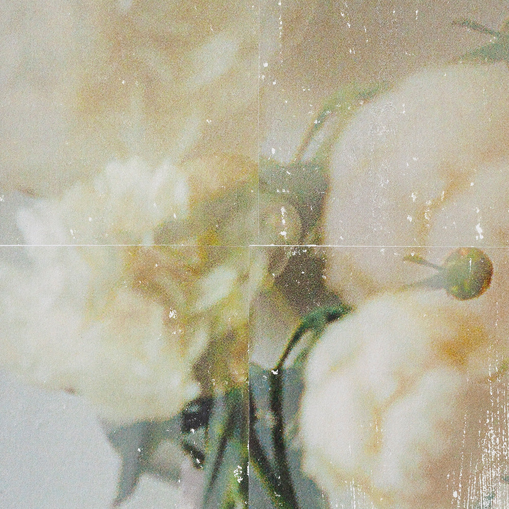 Painting by Jeff Kraus