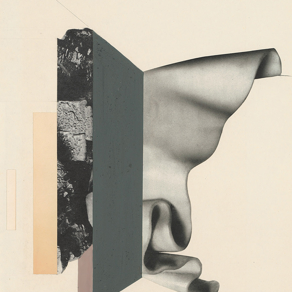 Print by Leigh Wells