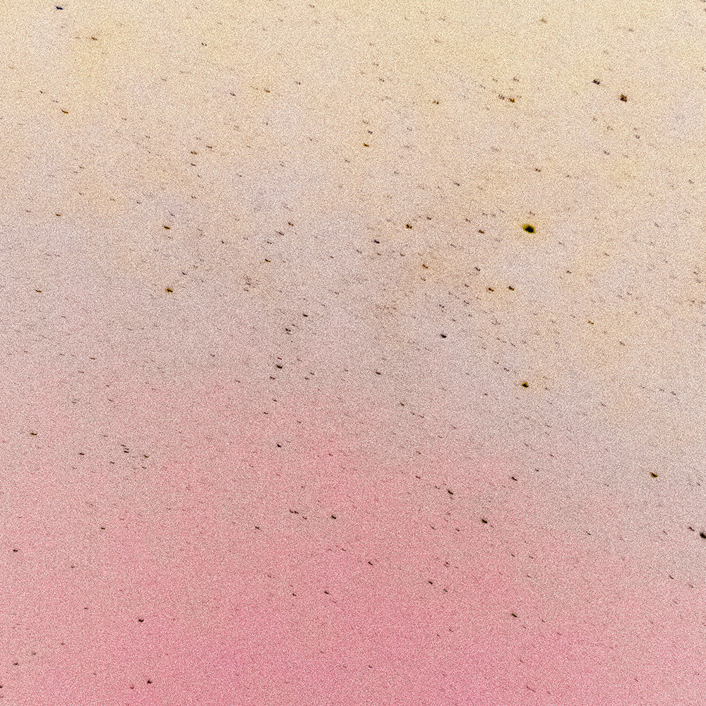 Photograph by Brian Merriam