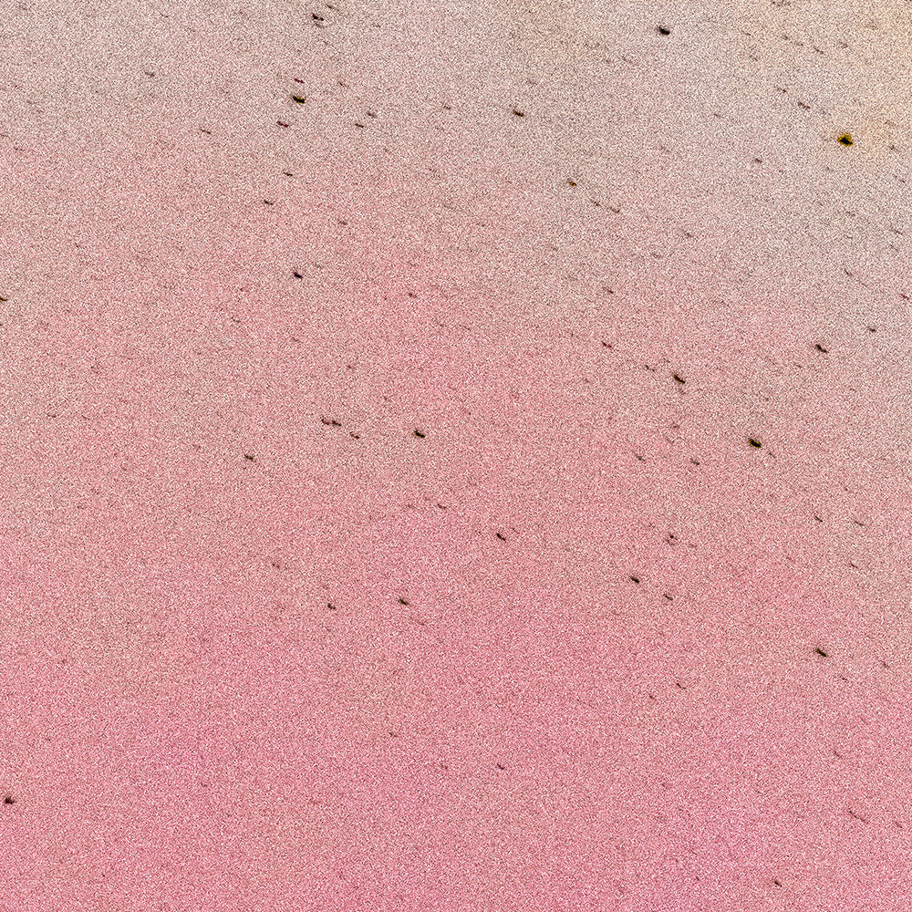 Photograph by Brian Merriam