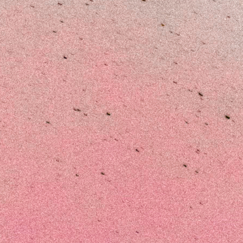 Photograph by Brian Merriam