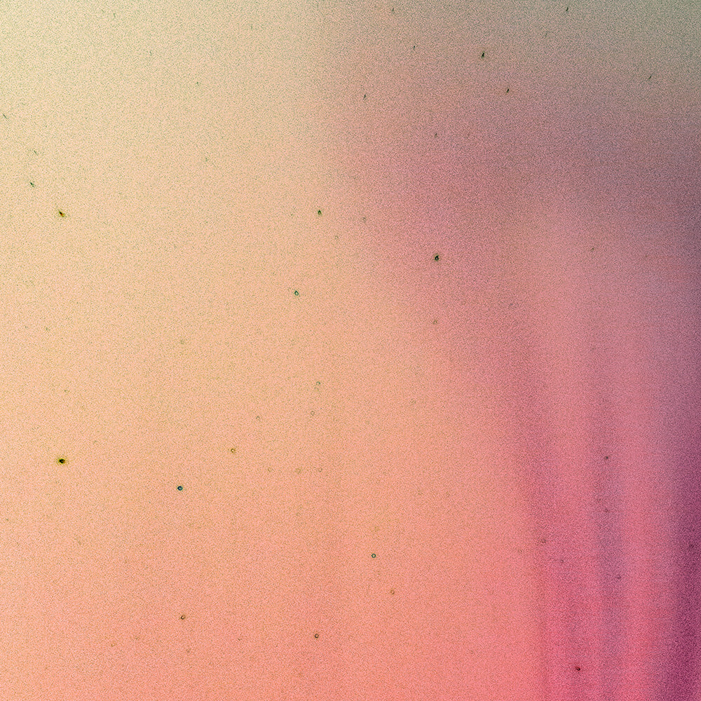 Photography by Brian Merriam