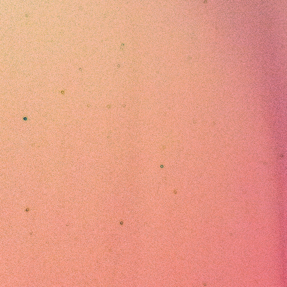 Photography by Brian Merriam