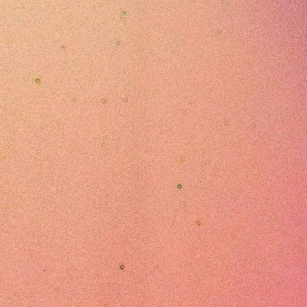 Photography by Brian Merriam