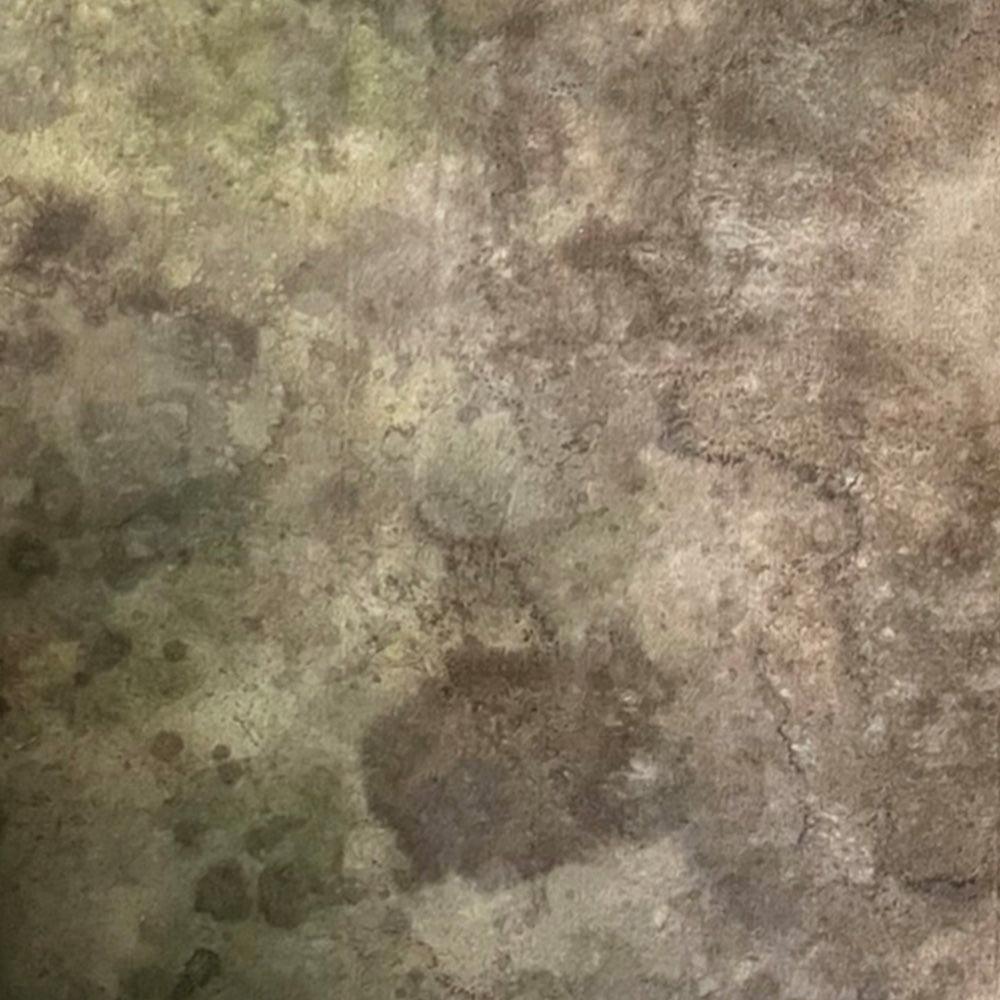 Painting by Sarah White