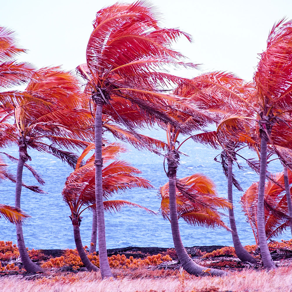 Photograph by Brian Merriam