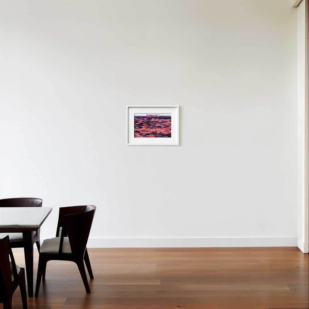 Photograph by Brian Merriam