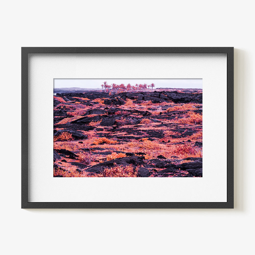 Photograph by Brian Merriam