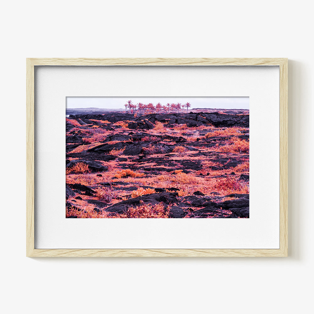 Photograph by Brian Merriam