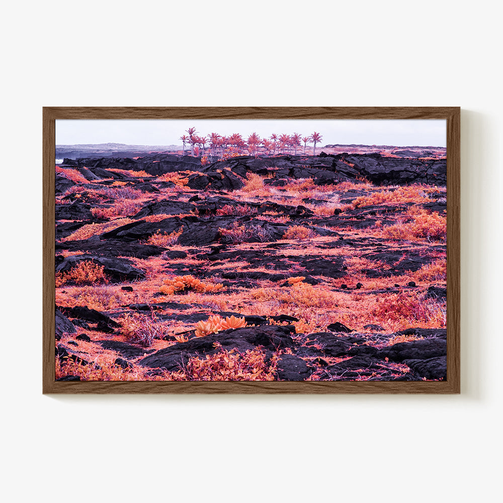 Photograph by Brian Merriam