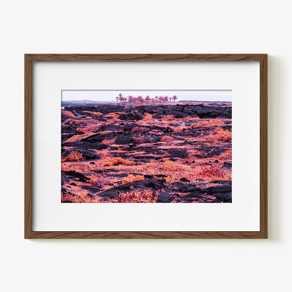 Photograph by Brian Merriam