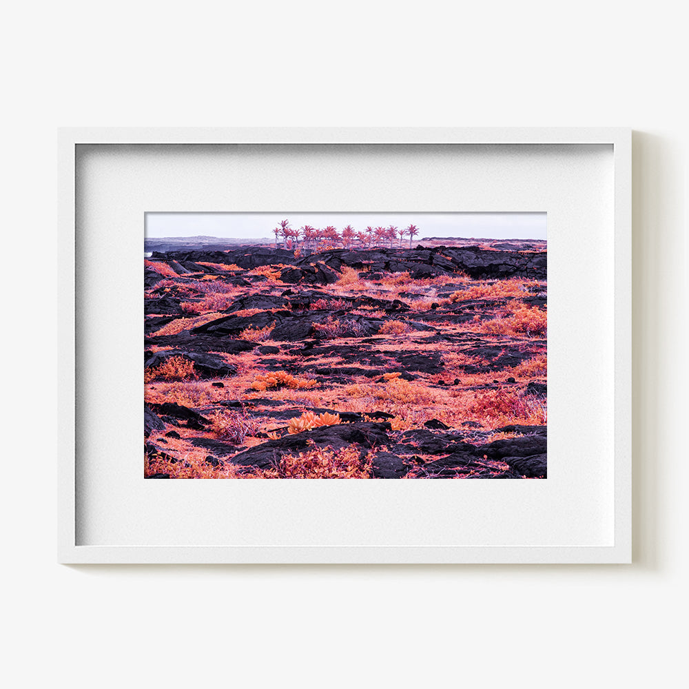 Photograph by Brian Merriam