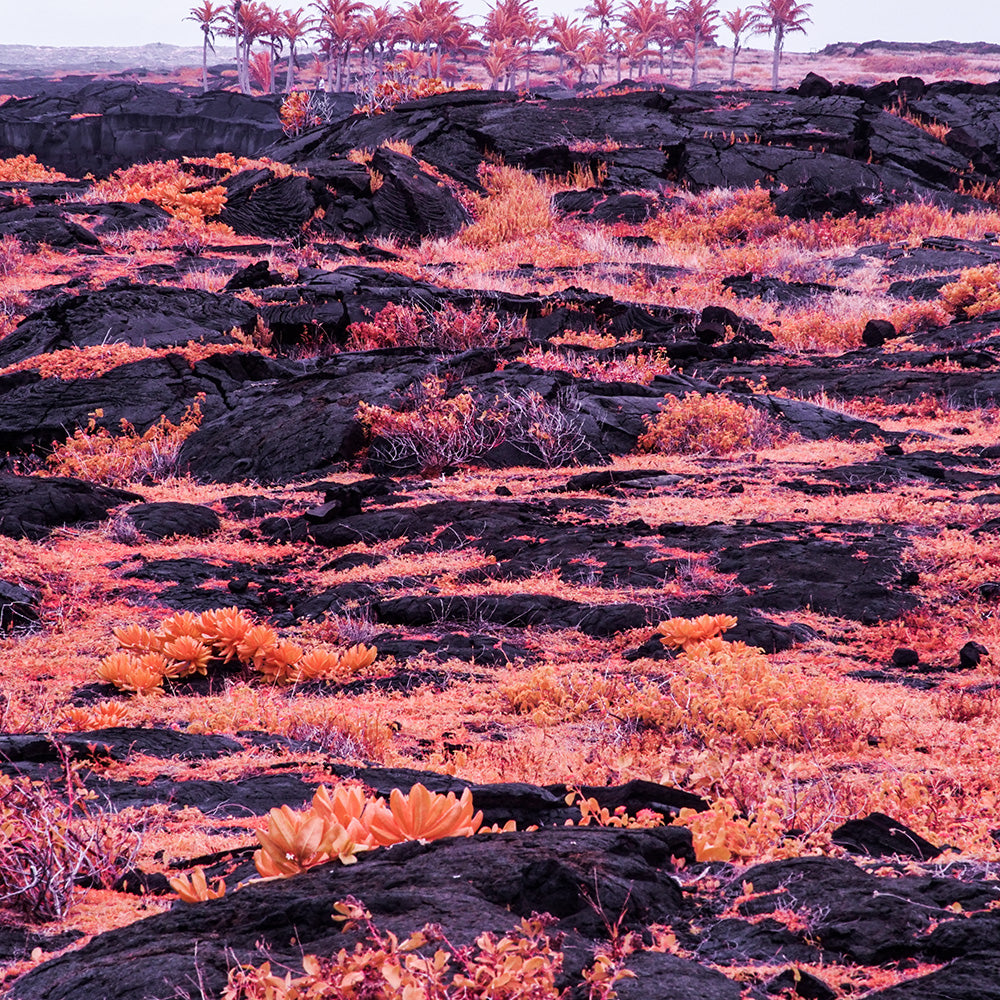 Photograph by Brian Merriam