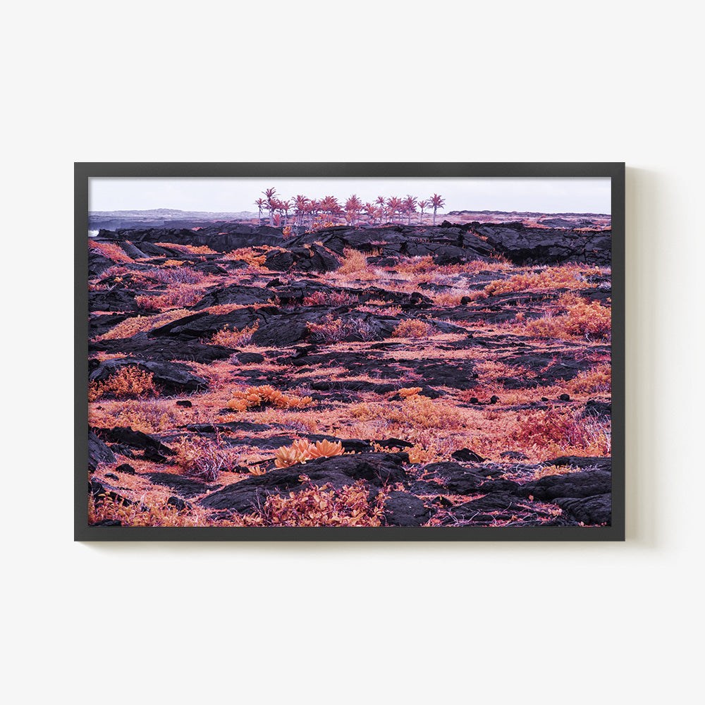 Photograph by Brian Merriam