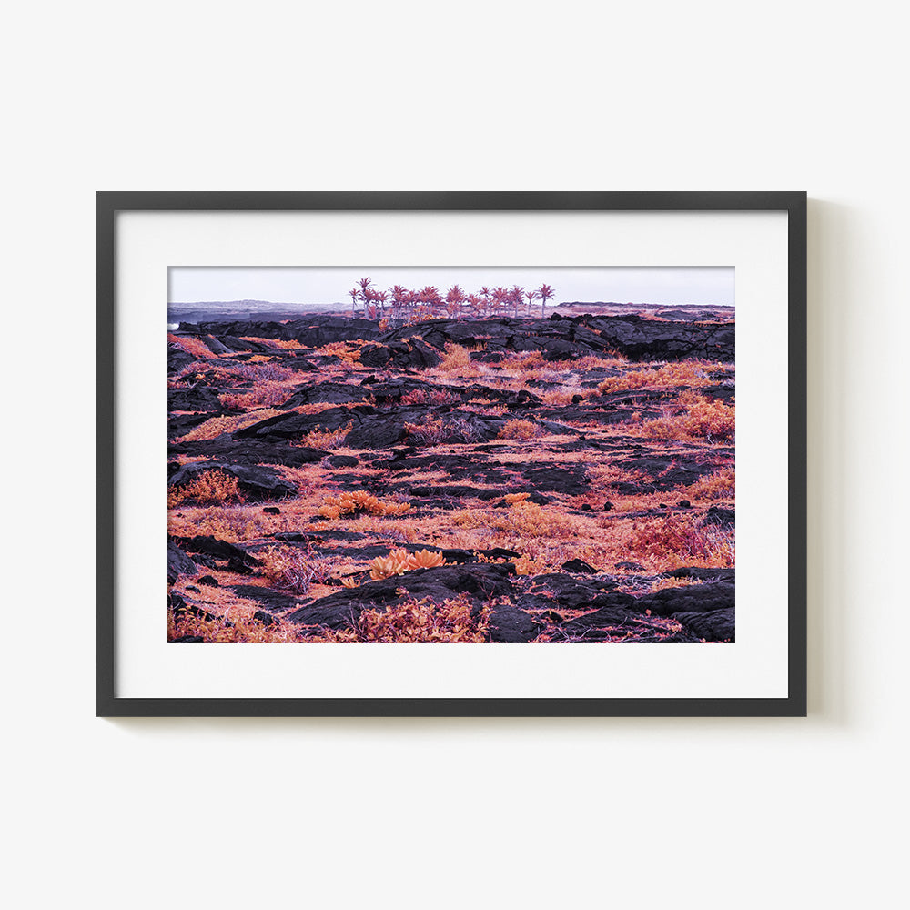 Photograph by Brian Merriam