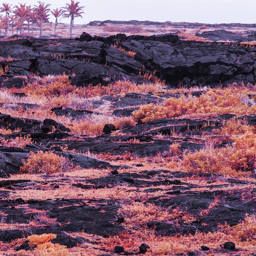 Photograph by Brian Merriam