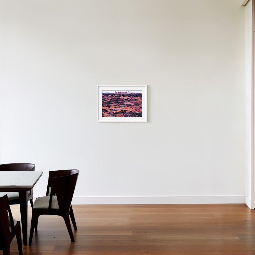 Photograph by Brian Merriam