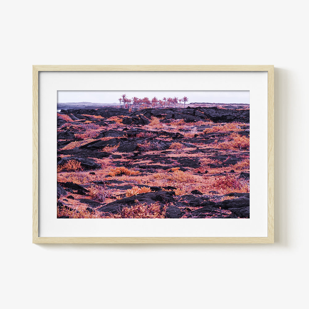 Photograph by Brian Merriam